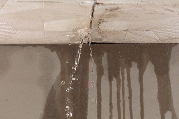 Professional Flood Damage Cleanup technician working in Hollytree, AL